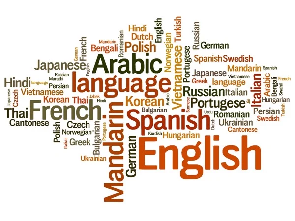 Các chuẩn đầu ra ngoại ngữ phổ biến và cách sử dụng chúng
